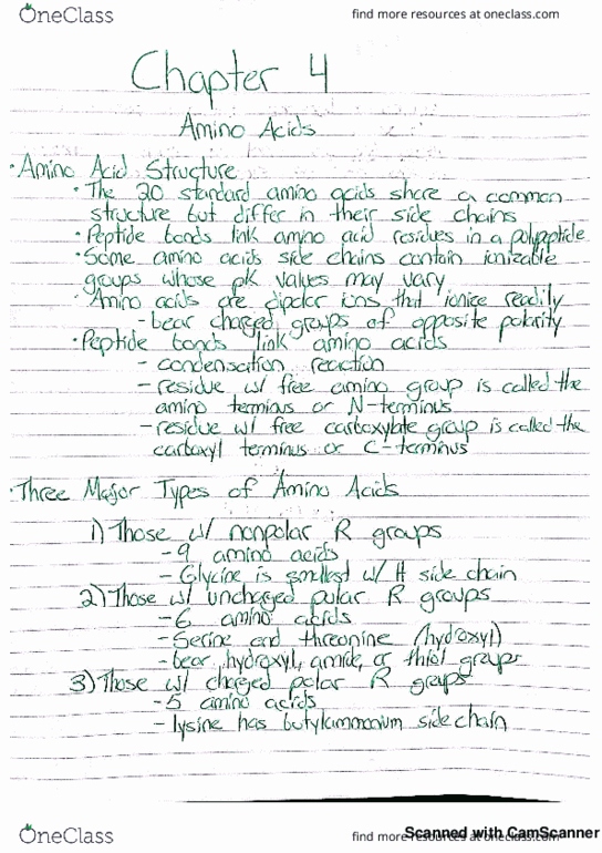 CHEM 251 Chapter 4: Amino Acids thumbnail