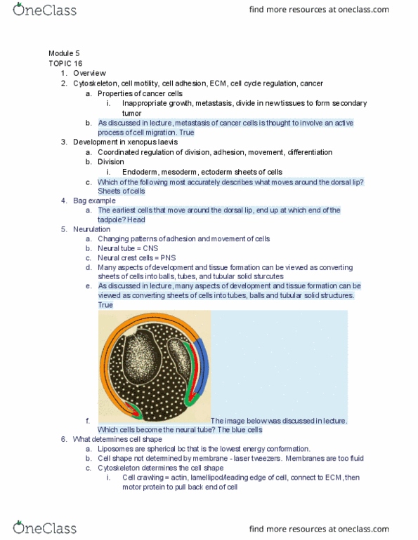 MCB 252 Study Guide Summer 2018, Midterm African Clawed Frog