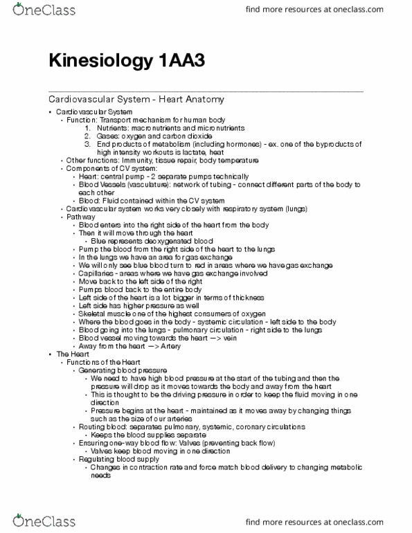 KINESIOL 1AA3 Lecture Notes - Lecture 1: Pulmonary Circulation, Pericardium, Pulmonary Artery thumbnail