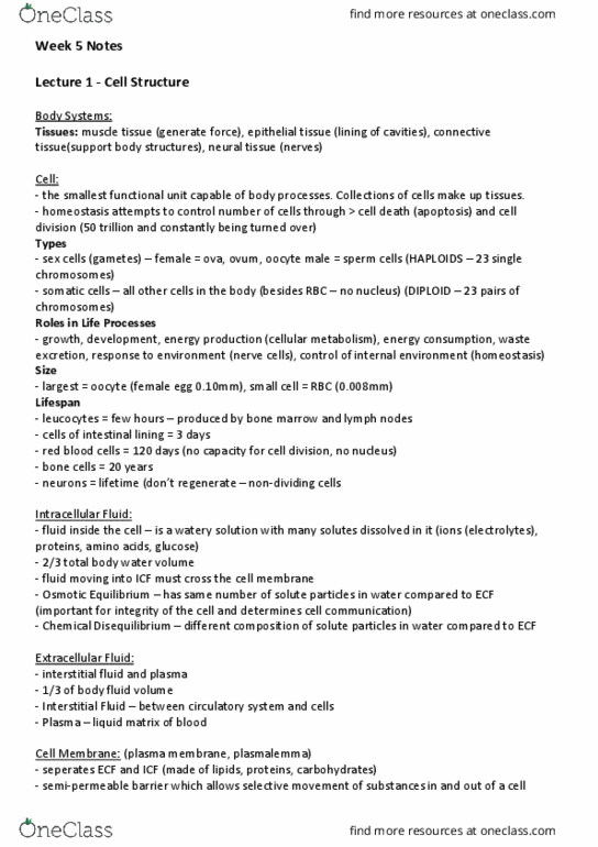 BIOS1167 Lecture Notes - Lecture 5: Extracellular Fluid, Epithelium, List Of Lakes By Volume thumbnail