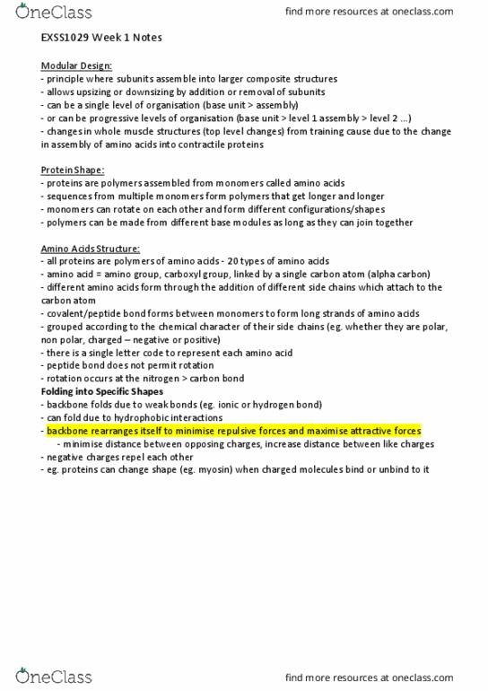 EXSS1029 Lecture Notes - Lecture 1: Alpha And Beta Carbon, Hydrogen Bond, Amine thumbnail