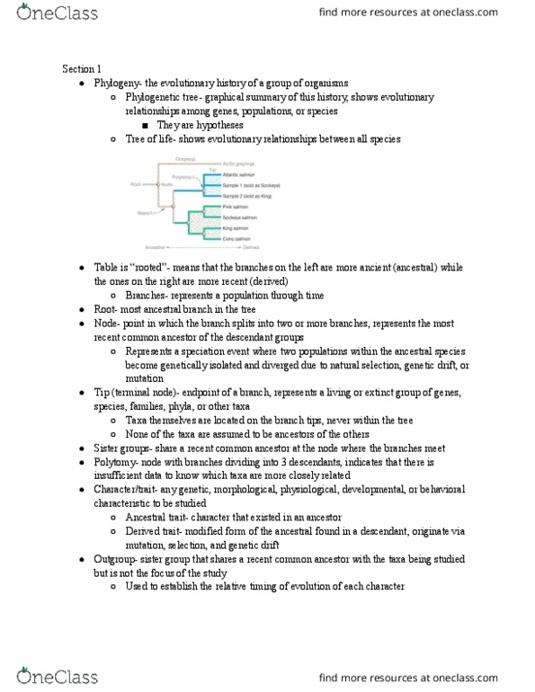 BISC208 Lecture Notes - Lecture 1: Genetic Drift, Synapomorphy, Monophyly thumbnail