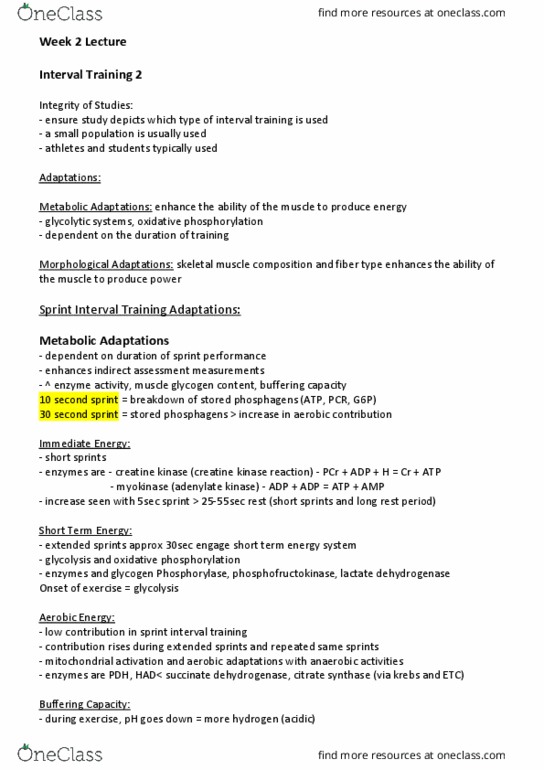 EXSS2022 Lecture Notes - Lecture 2: Creatine Kinase, Adenylate Kinase, Lactate Dehydrogenase thumbnail