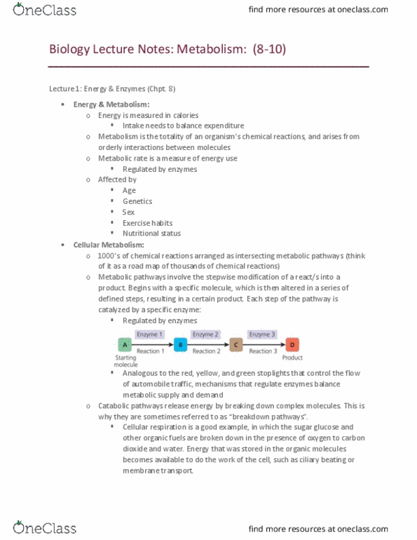 BIOL 1103 Lecture Notes - Lecture 5: Exergonic Reaction, Cellular Respiration, Spontaneous Process thumbnail