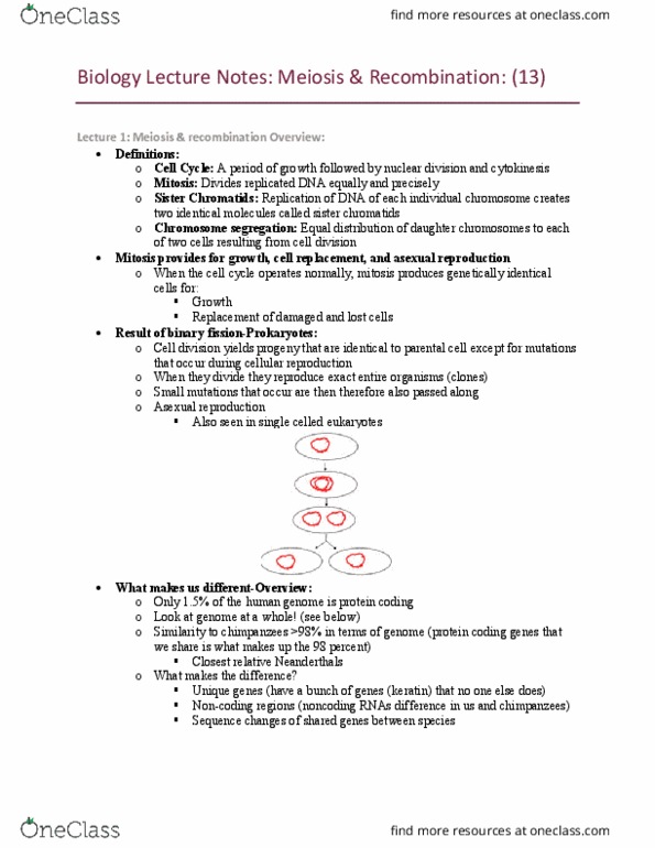 BIOL 1103 Lecture Notes - Lecture 4: Sister Chromatids, Chromosome Segregation, Transfer Dna thumbnail