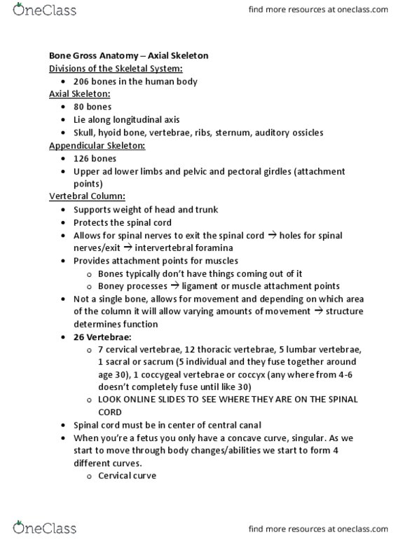 KINESIOL 2Y03 Lecture Notes - Lecture 9: Intervertebral Foramina, Cervical Vertebrae, Thoracic Vertebrae thumbnail