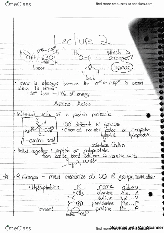 CHEM 251 Lecture 2: Amino Acids thumbnail