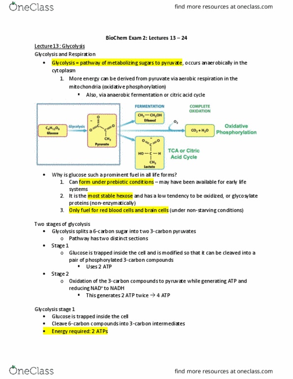 BIOLCHEM 415 Lecture 13: BioChem Exam 2 Lecture Notes (13-24) thumbnail
