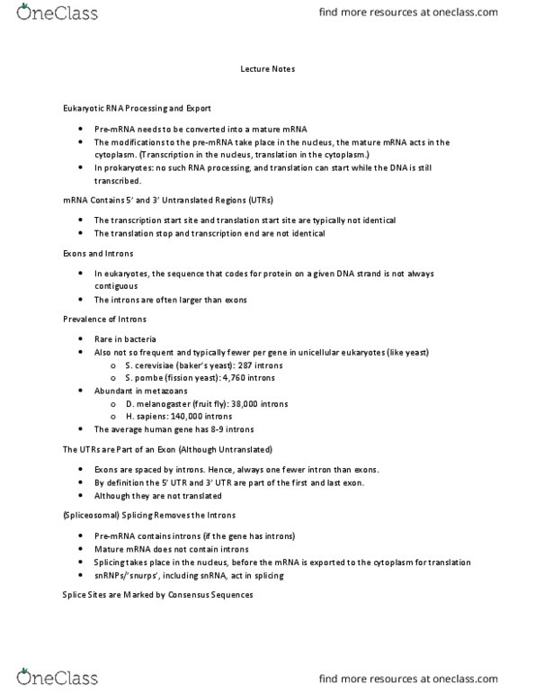 BIOL 2004 Lecture Notes - Lecture 5: Eukaryotic Transcription, Schizosaccharomyces Pombe, Drosophila Melanogaster thumbnail