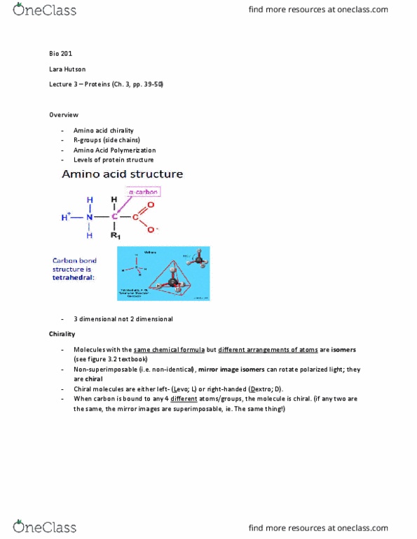 BIO 201 Lecture Notes - Lecture 3: Alanine, Hydrogen Bond, Chemical Formula thumbnail