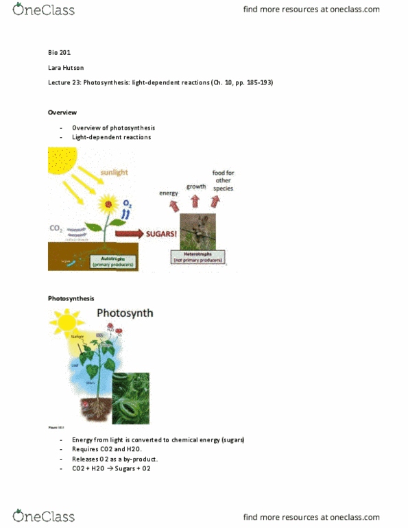 BIO 201 Lecture Notes - Lecture 23: Thylakoid, Chloroplast, Cyanobacteria thumbnail