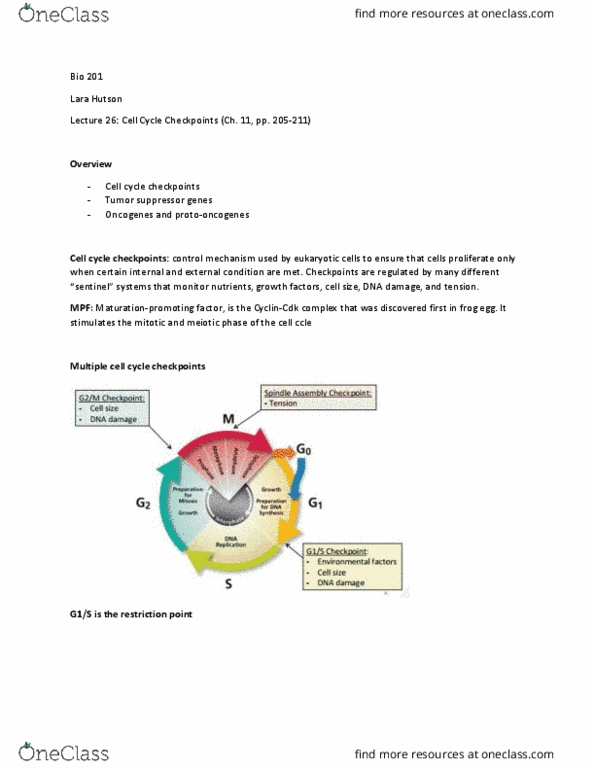 BIO 201 Lecture Notes - Lecture 26: Tumor Suppressor Gene, E2F, Restriction Point thumbnail