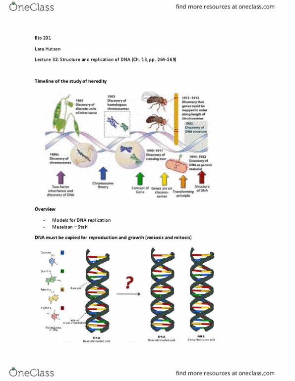 BIO 201 Lecture Notes - Lecture 32: Differential Centrifugation, Centrifugal Force, Dna Replication thumbnail