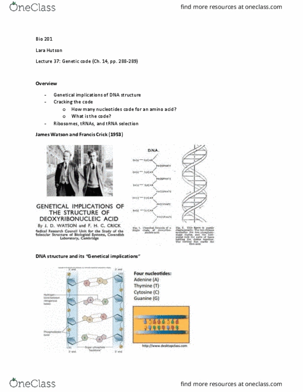 BIO 201 Lecture Notes - Lecture 37: Transfer Rna, Sydney Brenner, Alanine thumbnail