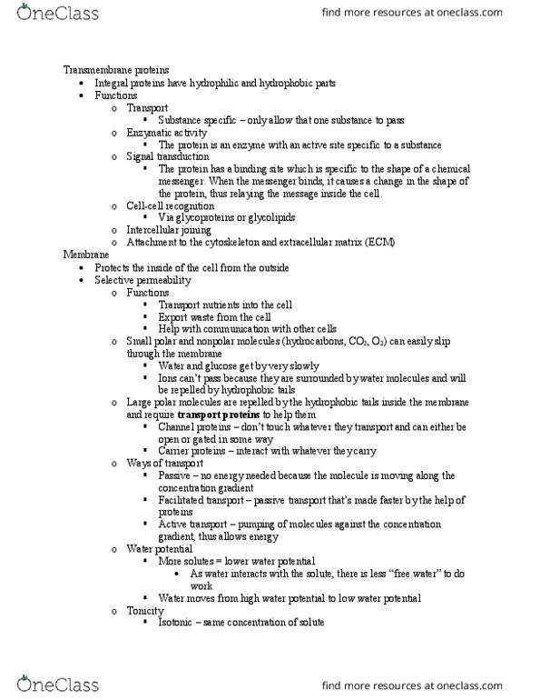 BIO 311C Lecture Notes - Lecture 7: Water Potential, Passive Transport, Signal Transduction thumbnail