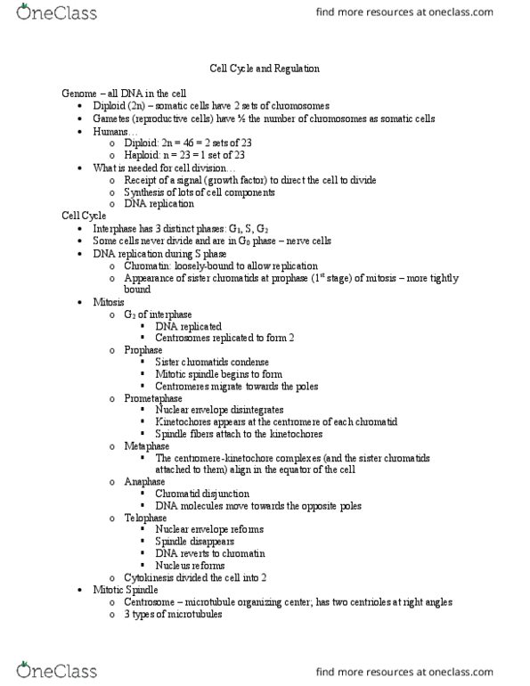 BIO 311C Lecture Notes - Lecture 14: Microtubule Organizing Center, Sister Chromatids, Spindle Apparatus thumbnail