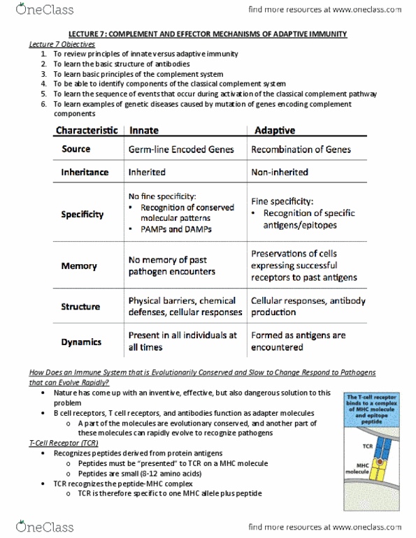 Microbiology and Immunology 3300B Lecture Notes - Classical Complement Pathway, Paratope, Adaptive Immune System thumbnail