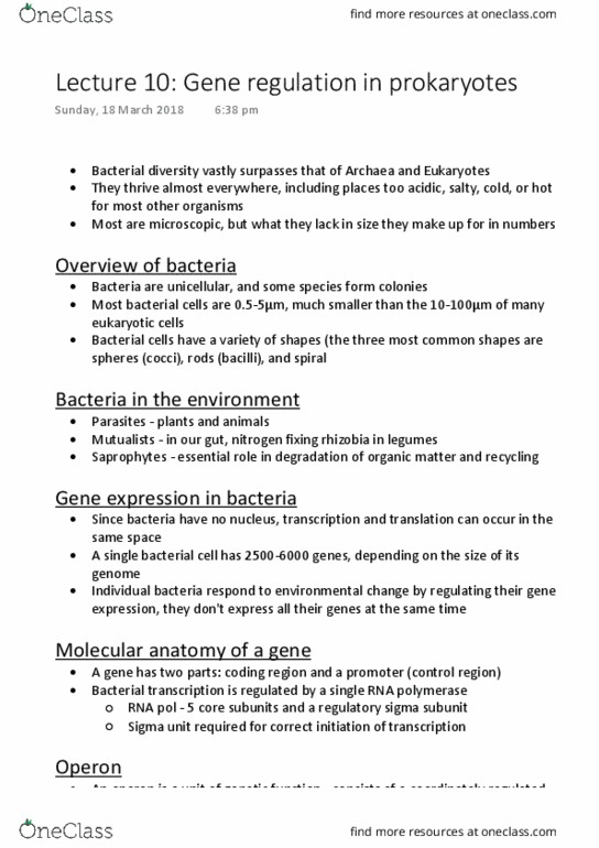 BIOL1020 Lecture Notes - Lecture 10: Operon, Gene Expression, Archaea thumbnail