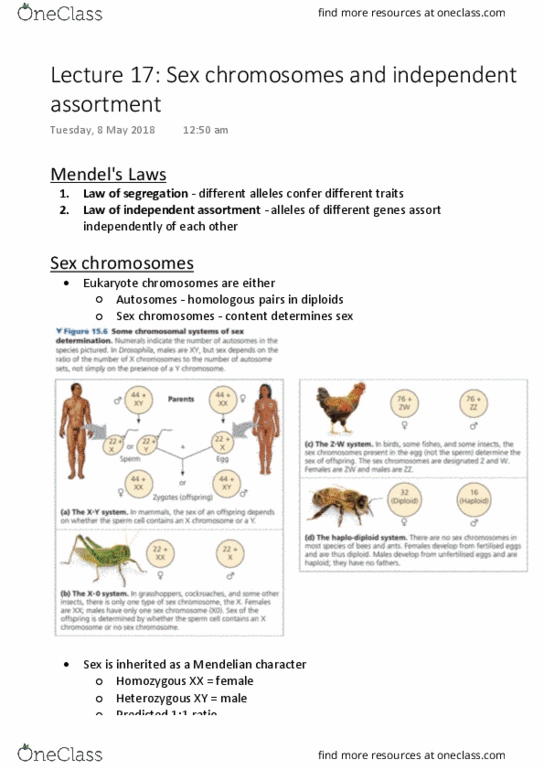 BIOL1020 Lecture Notes - Lecture 17: Mendelian Inheritance, Allosome, Color Blindness thumbnail