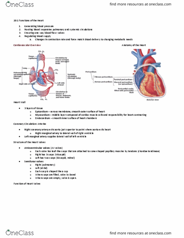 document preview image