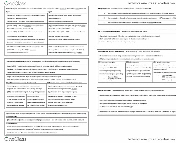 MCB 2050 Lecture Notes - Lecture 15: Nuclear Localization Sequence, Integral Membrane Protein, Xbp1 thumbnail