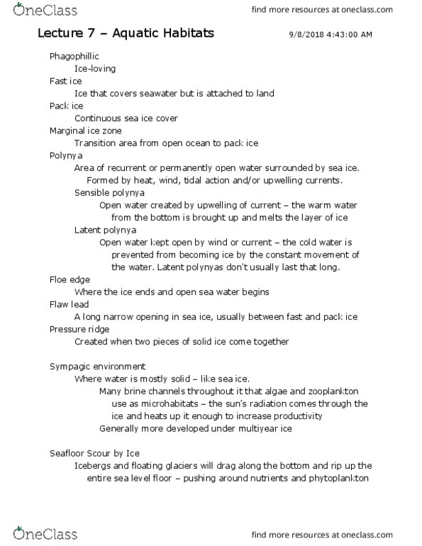 BIOL 3753 Lecture Notes - Lecture 7: Polynya, Drift Ice, Fast Ice thumbnail