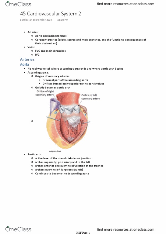 BIOM20002 Lecture 45: 45 Cardiovascular System 2 A thumbnail