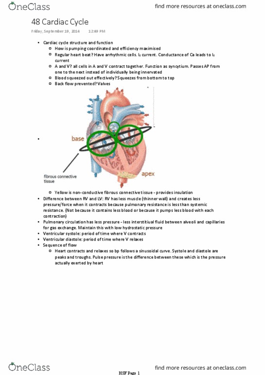 BIOM20002 Lecture Notes - Lecture 48: Cardiac Cycle, Pulmonary Circulation, Pulse Pressure thumbnail