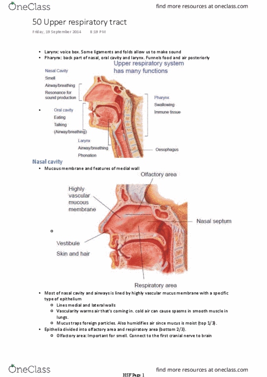 BIOM20002 Lecture Notes - Lecture 50: Nosebleed, Mucus, Pharynx thumbnail