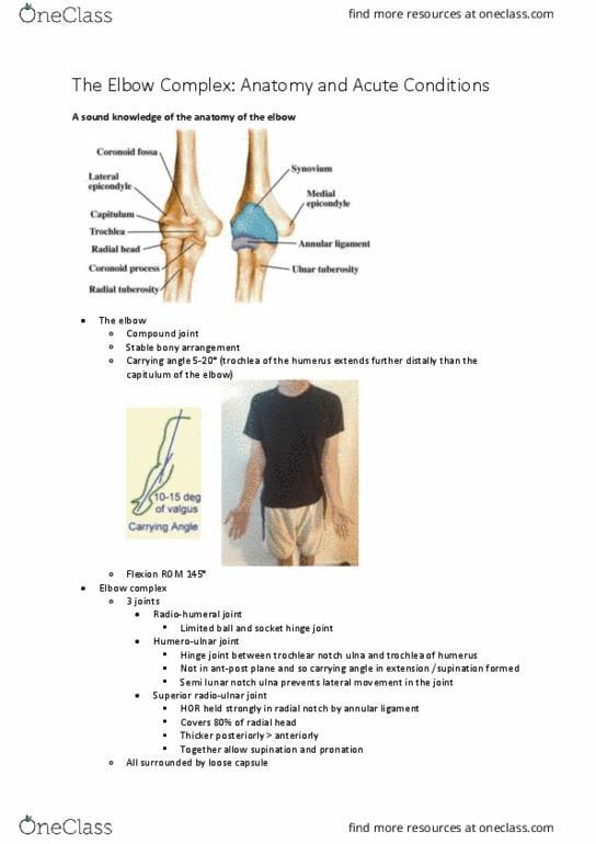 PHTY207 Lecture Notes - Lecture 13: Ulnar Collateral Ligament Of Elbow Joint, Medial Collateral Ligament, Annular Ligament Of Radius thumbnail