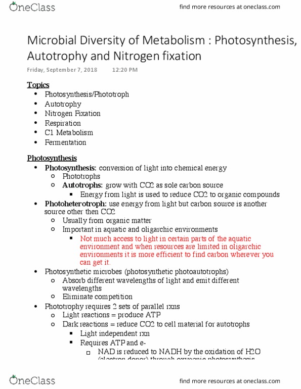 MICR-4010 Lecture Notes - Lecture 4: Phototroph, Oligarchy, Photoheterotroph thumbnail