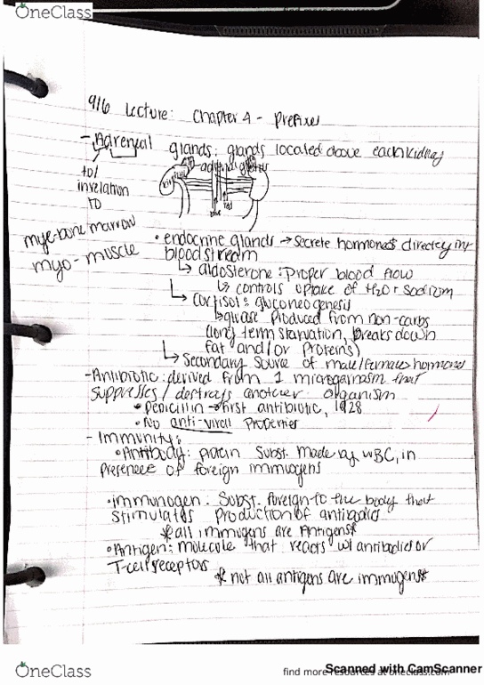 MEDT200 Lecture 5: MEDT200 Medical Terminology: Lecture notes 9/6/18 Chapter 4 Prefixes thumbnail