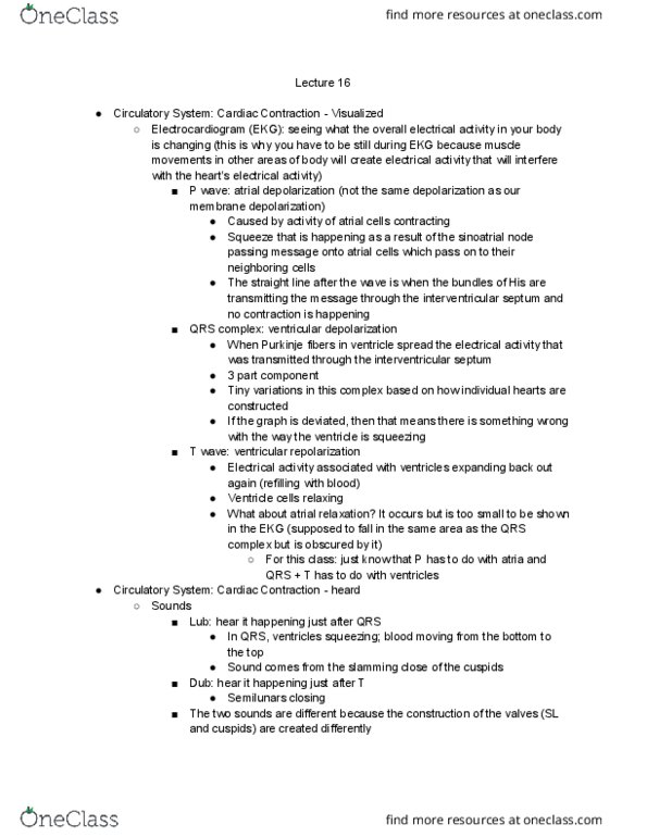 EEOB 2520 Lecture Notes - Lecture 16: Interventricular Septum, Qrs Complex, Stroke Volume thumbnail