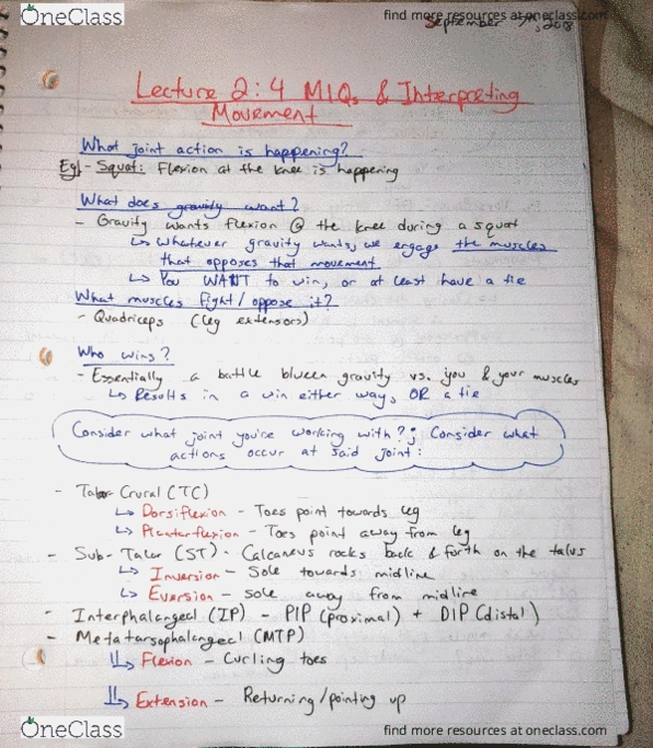 KINESIOL 2E03 Lecture 2: Handwritten Notes 2: The Four MIQs & Interpreting Movement thumbnail