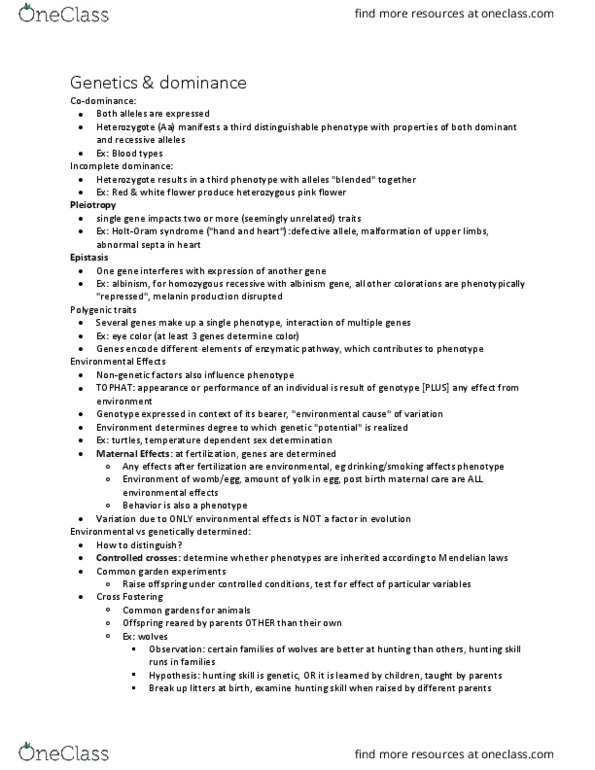 BIOLOGY 1114 Lecture Notes - Lecture 8: Pleiotropy, Epistasis, Melanin cover image