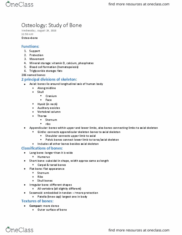 ANATOMY 2300.03 Lecture Notes - Lecture 4: Appendicular Skeleton, Axial Skeleton, Ossicles thumbnail