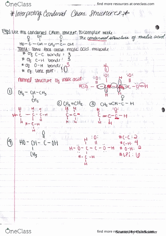 CHEM 162 Midterm: Alkanes Practice - OneClass