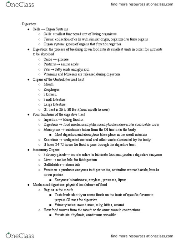 NTDT200 Lecture Notes - Lecture 3: Salivary Gland, Small Intestine, Lipase thumbnail