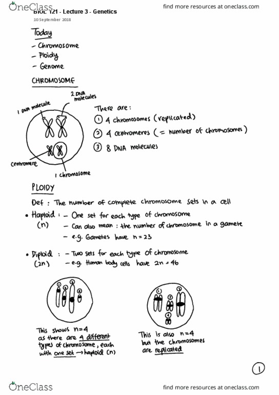 BIOL 121 Lecture 3: BIOL 121 - Lecture 3 (Genetics) - Ken Savage cover image