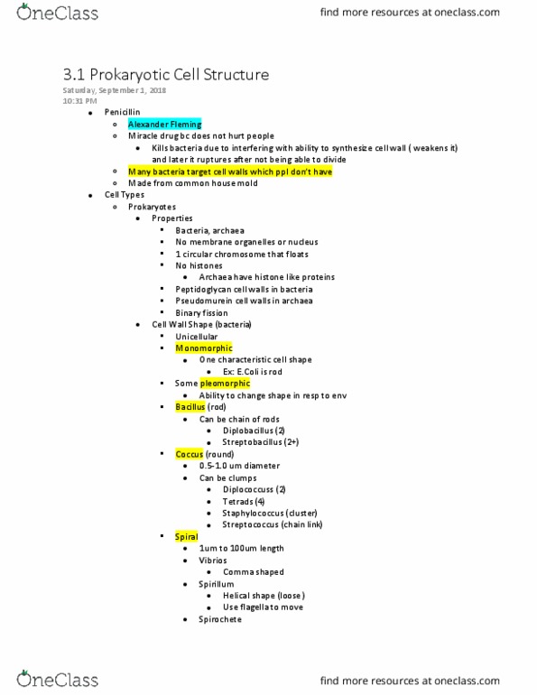 MB 351 Lecture Notes - Lecture 8: Haloarcula, Spirillum, Glycocalyx thumbnail