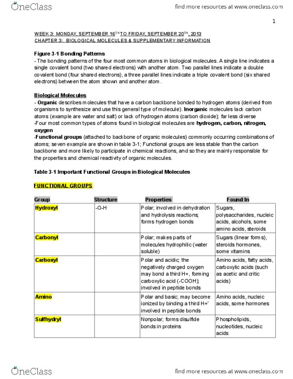 BIOLOGY 1P03 Lecture Notes - Lecture 3: Covalent Bond, Dehydration Reaction, Monosaccharide thumbnail