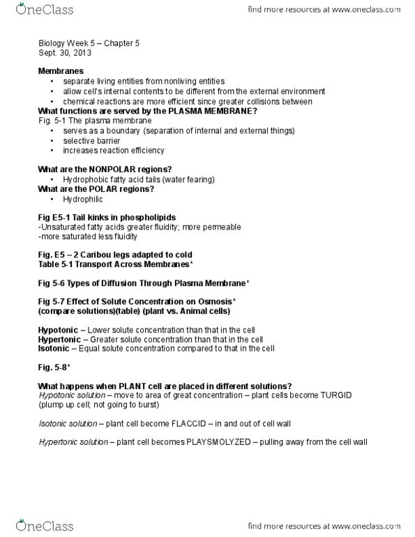 BIOLOGY 1P03 Lecture Notes - Lecture 5: Lipid Bilayer, Fluid Mosaic Model, Membrane Fluidity thumbnail