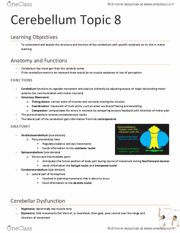 KINE 3020 Lecture Notes - Anatomy Of The Cerebellum, Motor Learning, Cerebral Cortex thumbnail