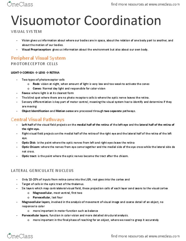KINE 3020 Lecture Notes - The Blind Spot, Optic Tract, Superior Colliculus thumbnail