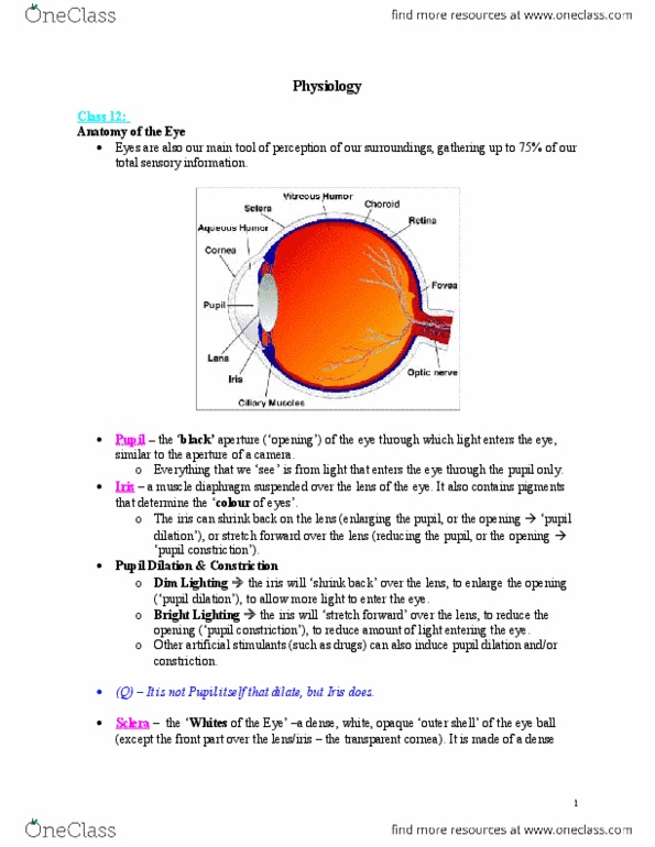 NATS 1870 Chapter : Winter Summary.doc thumbnail