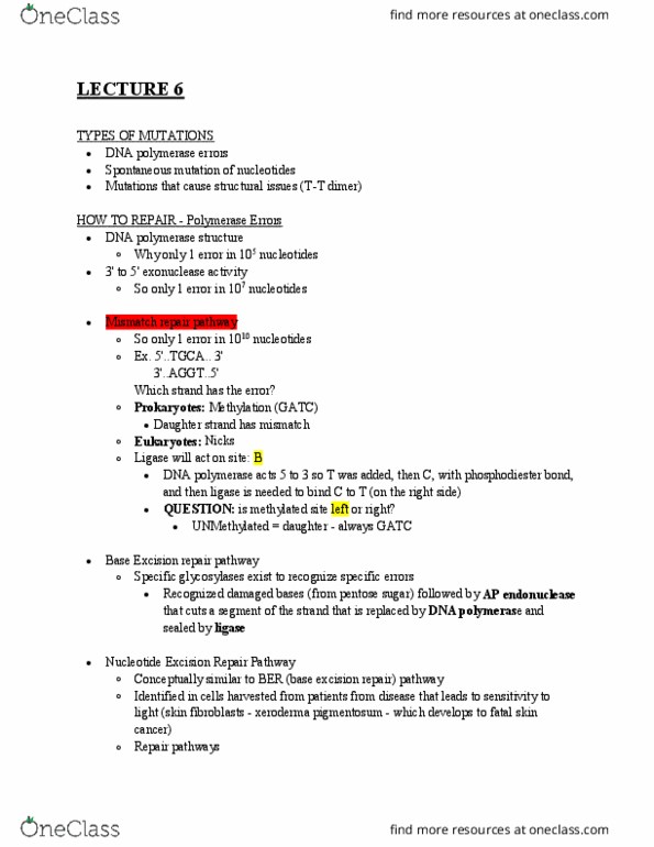 BIO SCI 99 Lecture Notes - Lecture 6: Thymidine, Wild Type, Ura3 thumbnail