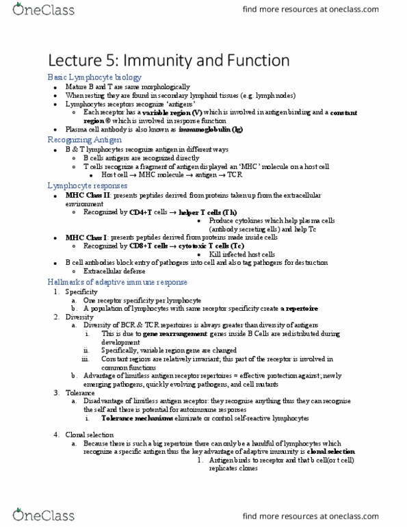 IMM250H1 Lecture Notes - Lecture 5: B Cell, Herd Immunity, Antigen thumbnail