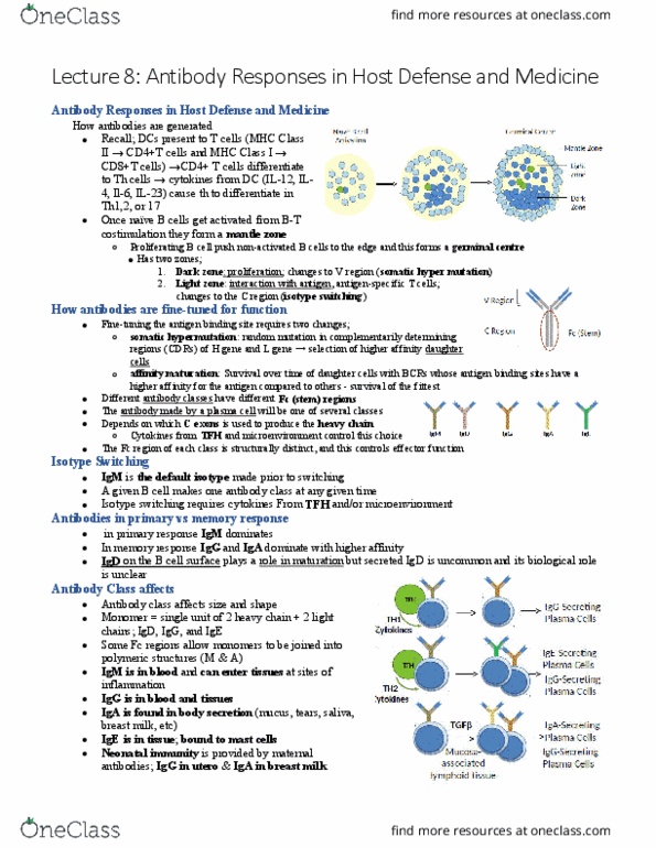 IMM250H1 Lecture Notes - Lecture 8: Immunoglobulin Light Chain, Cell Culture, B Cell thumbnail