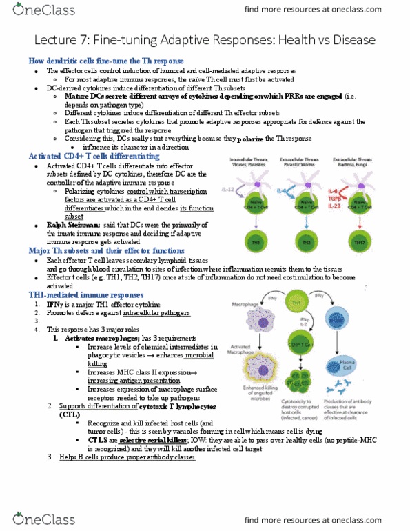 IMM250H1 Lecture Notes - Lecture 7: Interleukin 13, Innate Immune System, Mhc Class I thumbnail