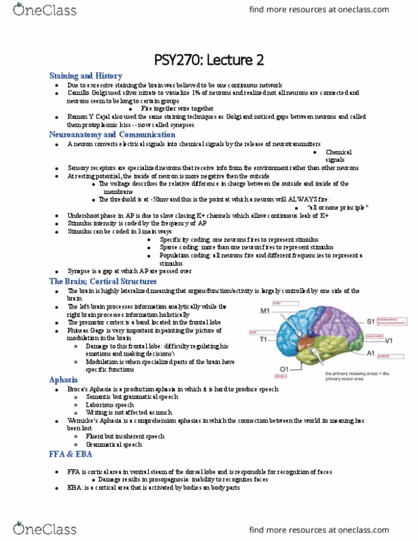PSY270H1 Lecture Notes - Lecture 2: Sensory Neuron, Microelectrode, Positron Emission Tomography thumbnail